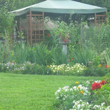 Farm Stay Lackovic Bilje Екстер'єр фото
