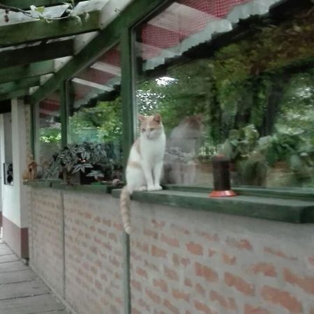 Farm Stay Lackovic Bilje Екстер'єр фото