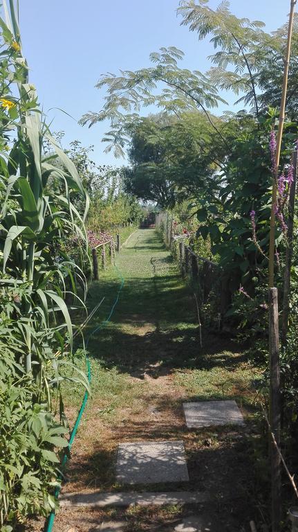 Farm Stay Lackovic Bilje Екстер'єр фото