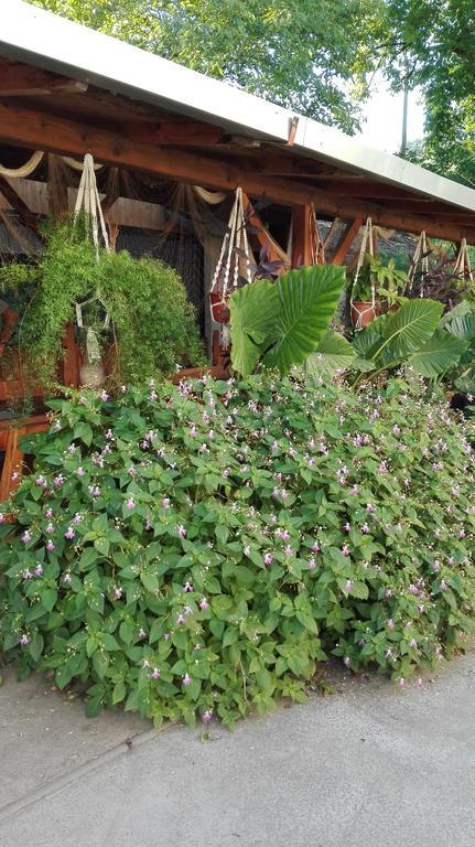 Farm Stay Lackovic Bilje Екстер'єр фото